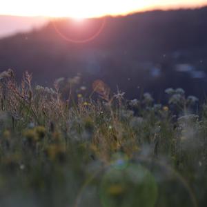 回到童年干回去2集免费观看

